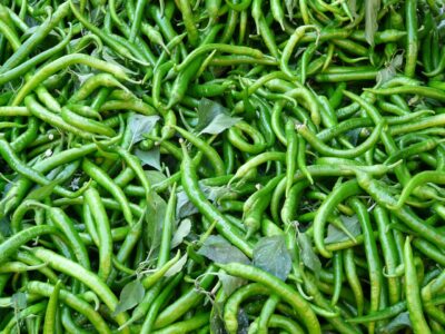 Green Chilli [Hari Mirch]